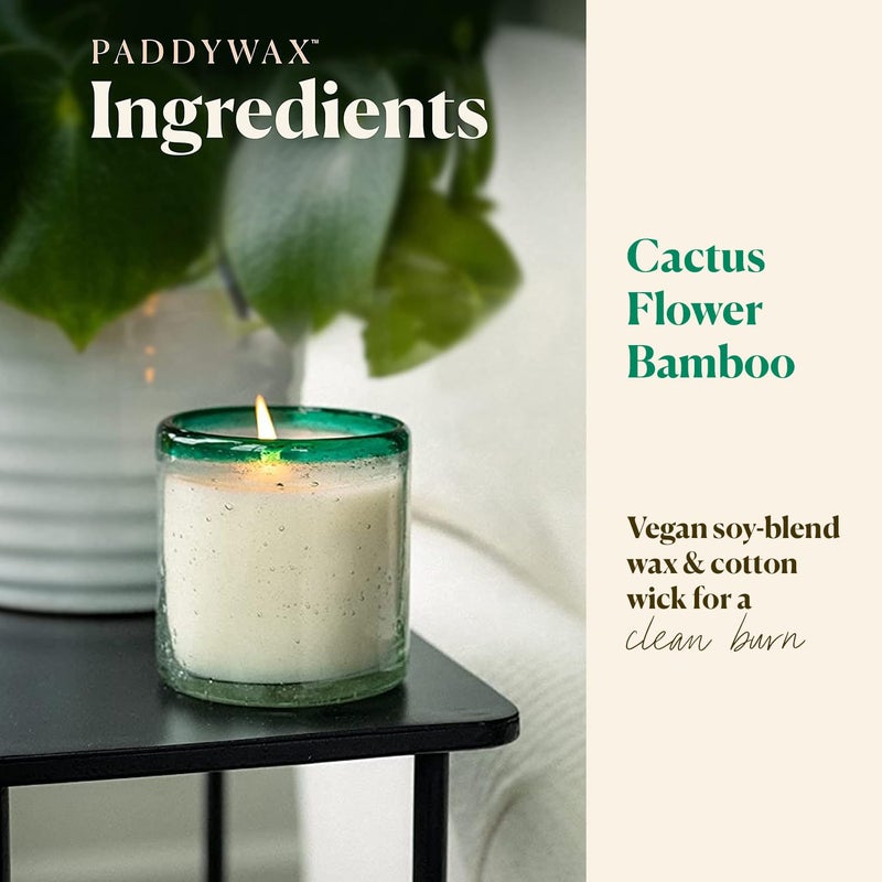 Paddywax Scented Candles Coastal La Playa Collection Artisan Candle in Hand-Blown Glass, 9 Ounces, Cactus Flower Bamboo - Image 2